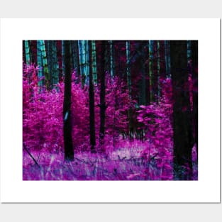 Fantasy purple forest 2 Posters and Art